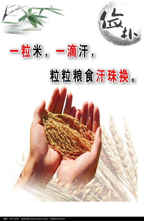 哪里能办亚拉巴马州驾驶证